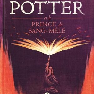 HARRY POTTER ET LE PRINCE DE SANG-MELE - Tome 6