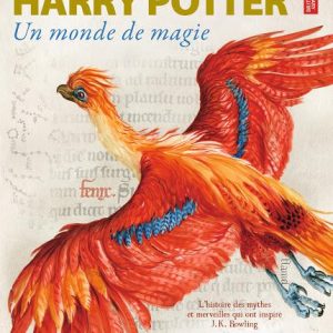 HARRY POTTER - Un monde de magie
