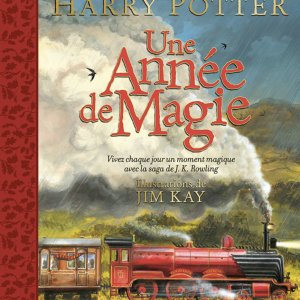 HARRY POTTER - Une année de magie
