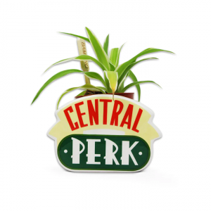 FRIENDS - Central Perk - Pot Pour Plante