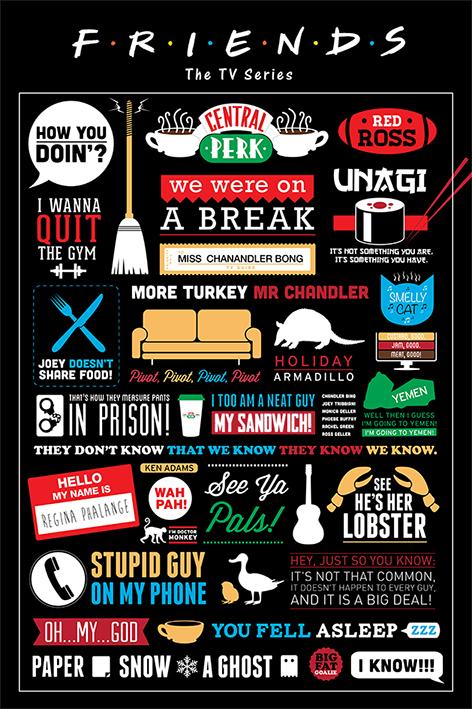 FRIENDS - Poster 61X91 - Infographic