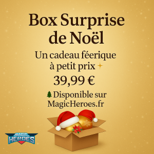 Box Surprise de Noël féerique